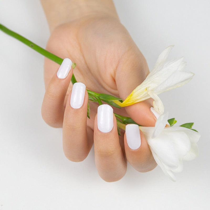 White Wose